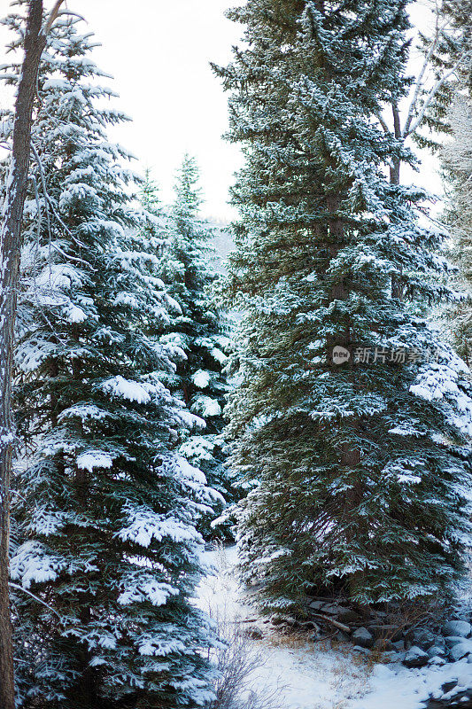 冬初雪，拉鲁溪清新的山溪