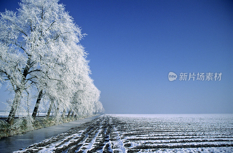 冬天的风景