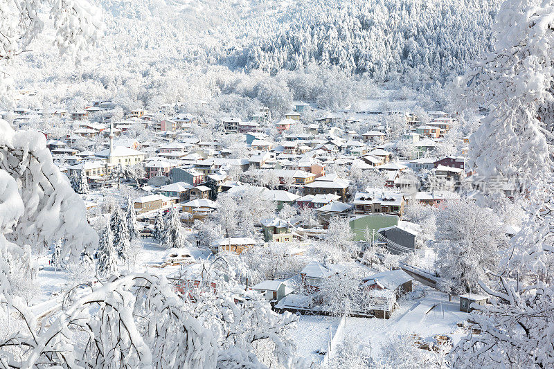 雪下美丽的村庄