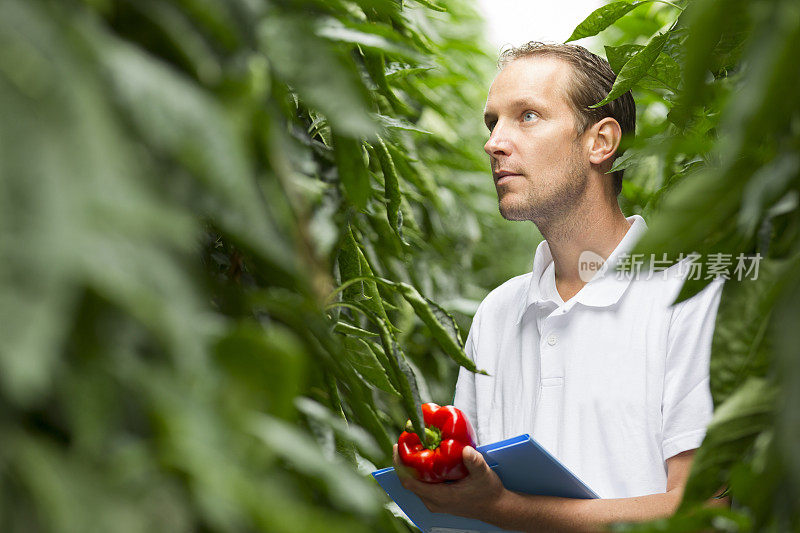 温室里的研究和基因工程。