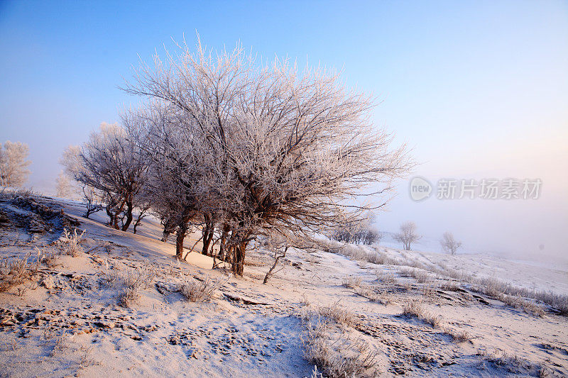 冬天的风景