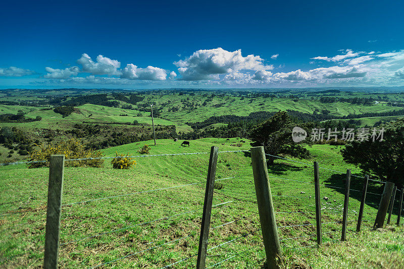 风景如画的新西兰