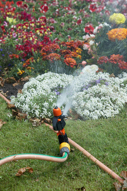 草坪和植物洒水喷头