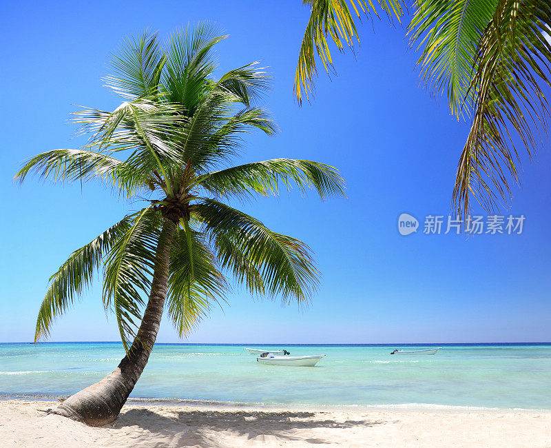 多米尼加共和国的异国情调海滩，蓬塔卡纳