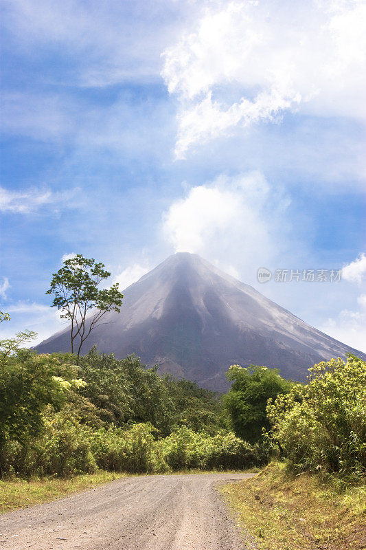 一座可以看到森林的活火山