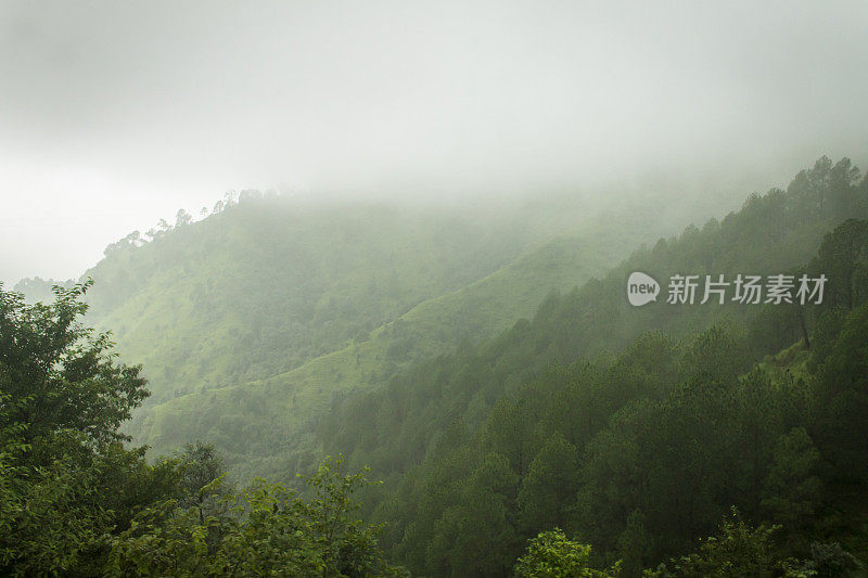 季风期间的西姆拉山女王。