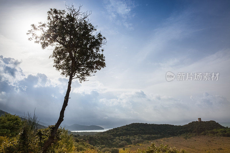 Maremma,托斯卡纳