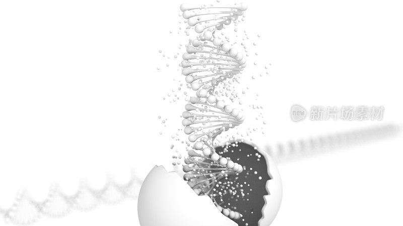 DNA链分子结构
