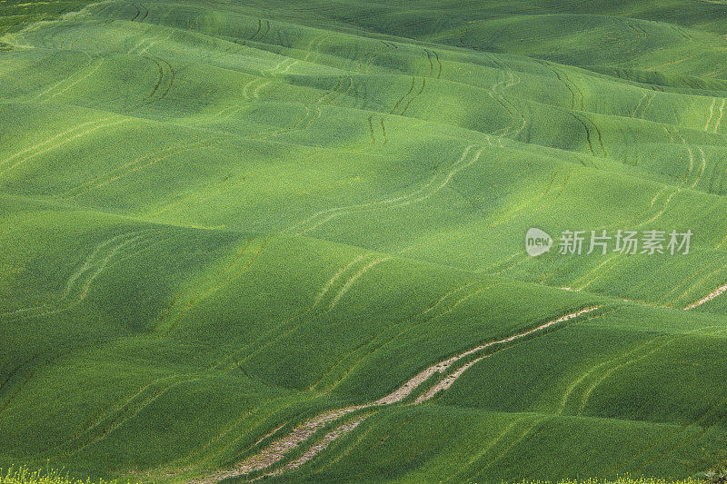 意大利托斯卡纳连绵起伏的乡村公路