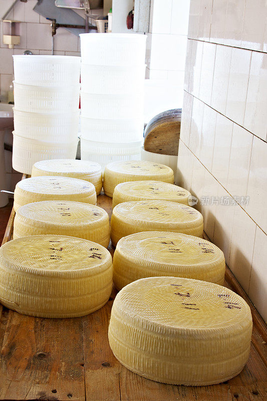 阿齐亚戈奶酪在工厂里陈化