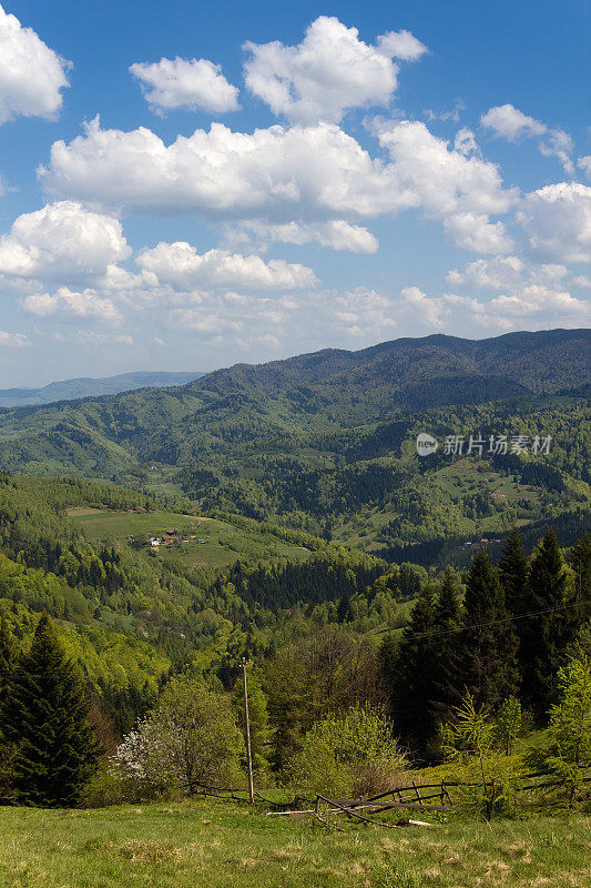 五月的山景。Beskid,波兰。