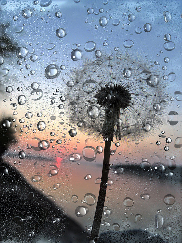 日落时雨滴落在窗户上