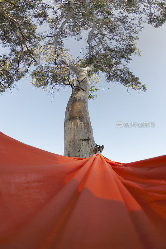 塞浦路斯阿伊纳帕海滩树下的红色吊床