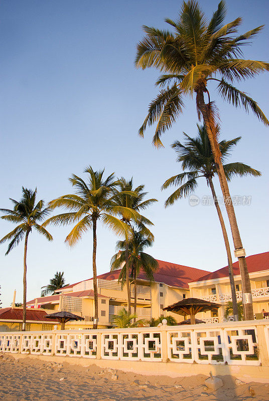 在异国情调的棕榈树下的海滩酒店的金色日落