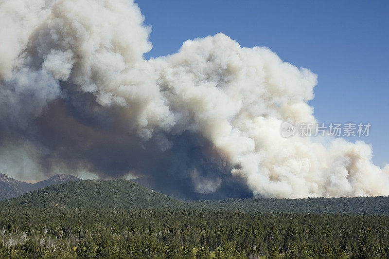塔霍湖大火的烟羽-近距离观察