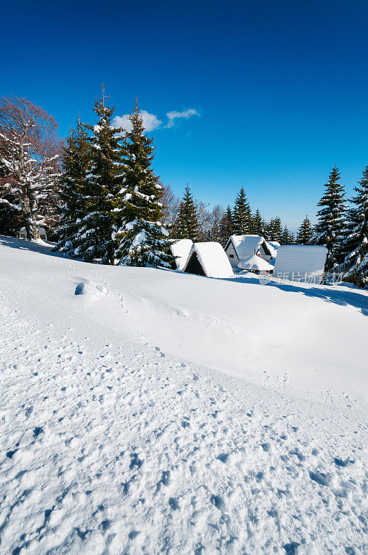 冬天被雪覆盖的高山小屋