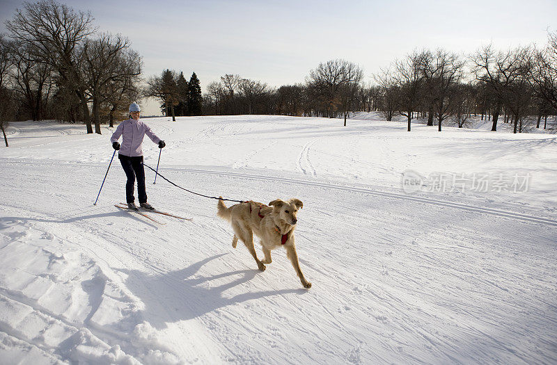 女人和金毛猎犬在滑雪道上滑雪。