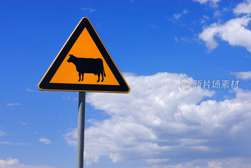 路上有“注意牛群”的标志