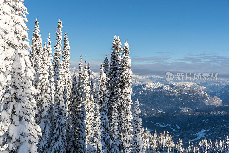 惠斯勒黑梳滑雪场自然景观全景图