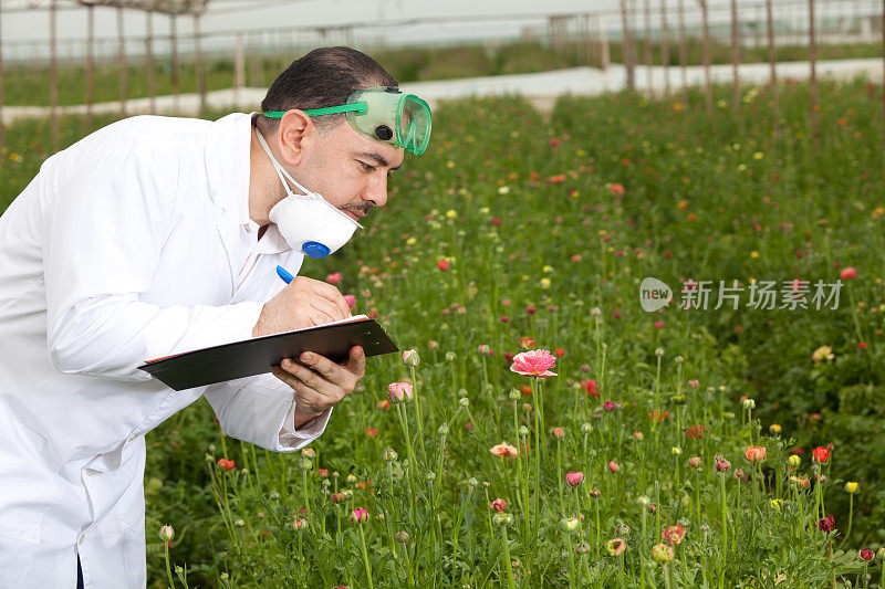 植物学家在切花温室检查记录