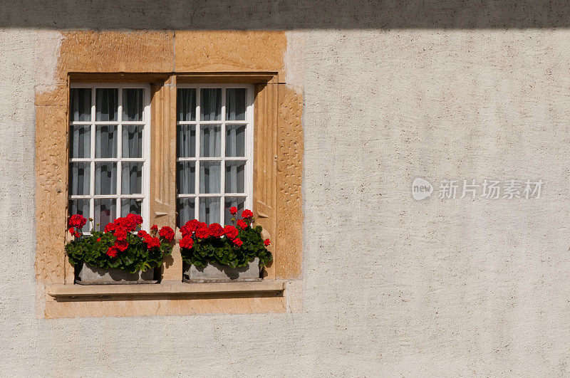 窗户，墙和花