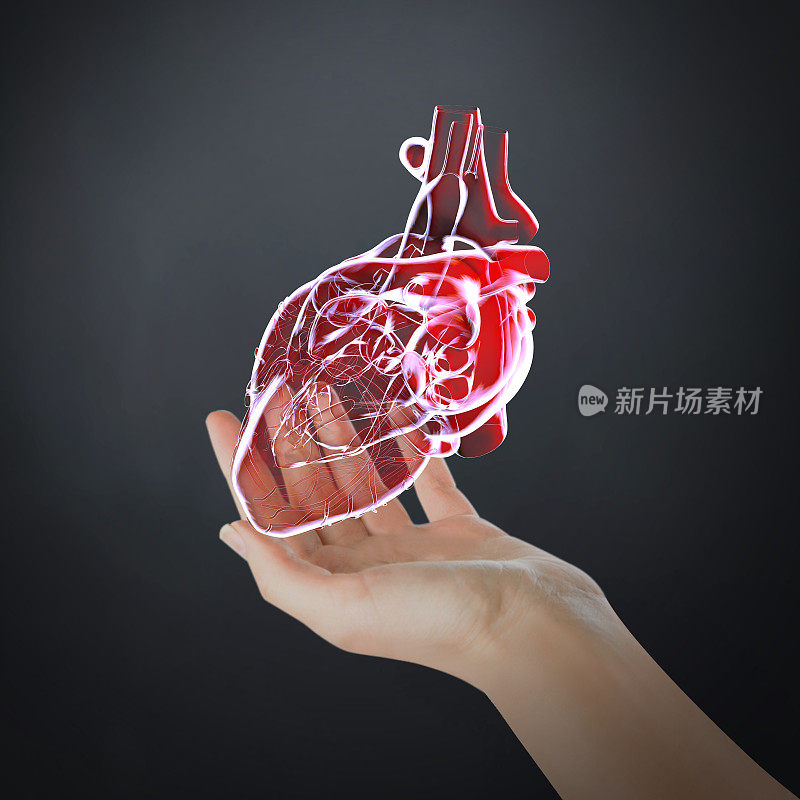 虚拟心脏与新医疗技术