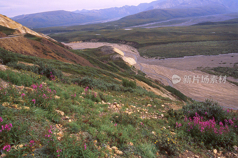 俯瞰阿拉斯加德纳里国家公园的草地和湿地区域