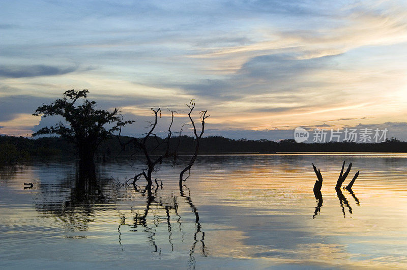厄瓜多尔亚马逊雨林泻湖上的日出