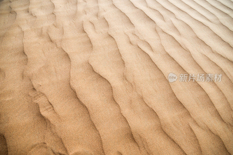 以海浪为背景