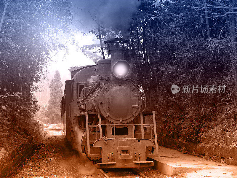 蒸汽窄轨的火车。