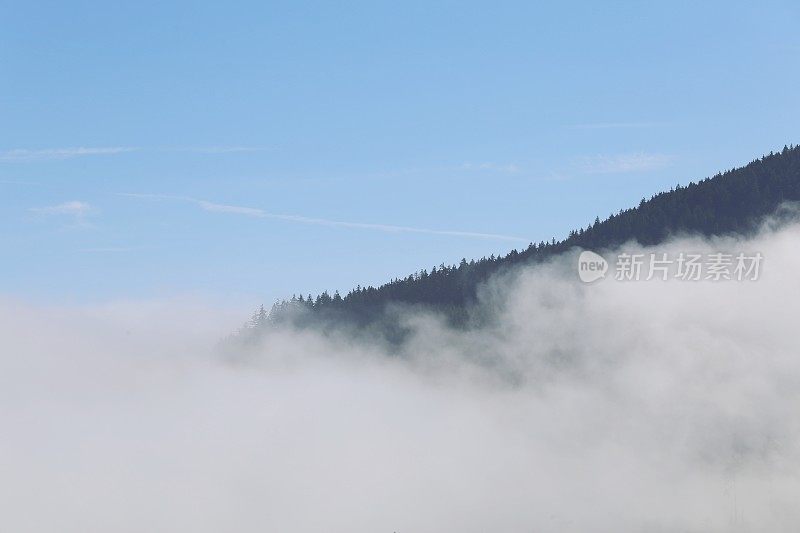 早晨的雾，山脉，飓风脊，奥林匹克国家公园，西澳