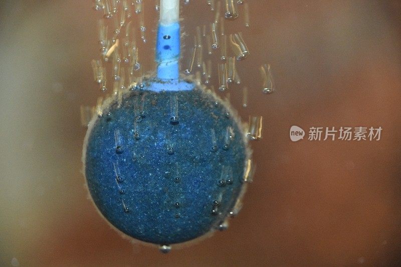 水在水族馆里冒泡