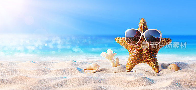 阳光沙滩上戴着太阳镜的海星