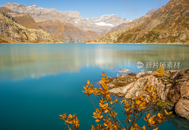 在瑞士山上，落叶松围绕着一个水晶蓝色的湖