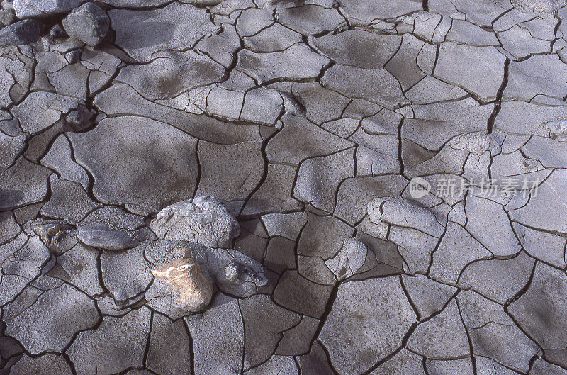 孤立的观点干燥的阿拉斯加河床