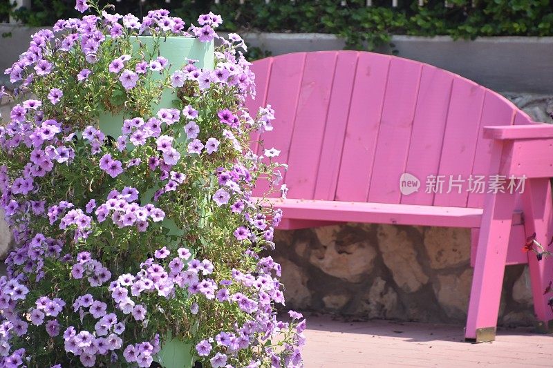 长椅和鲜花的鲜艳色彩
