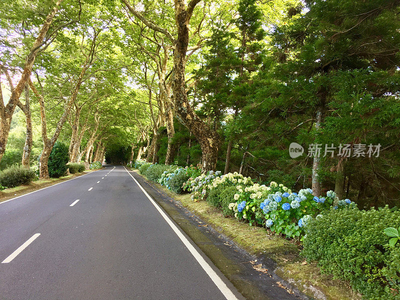 亚速尔群岛乡村公路