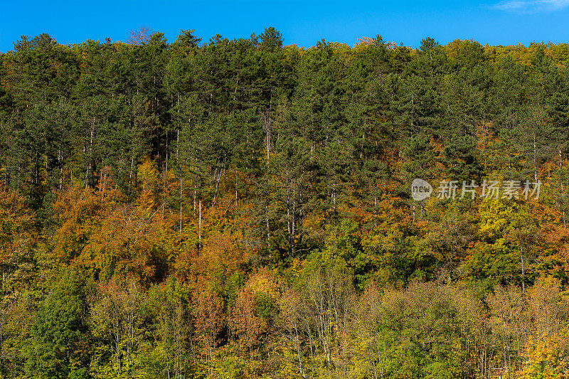 层层叠叠的秋色树木背靠山坡