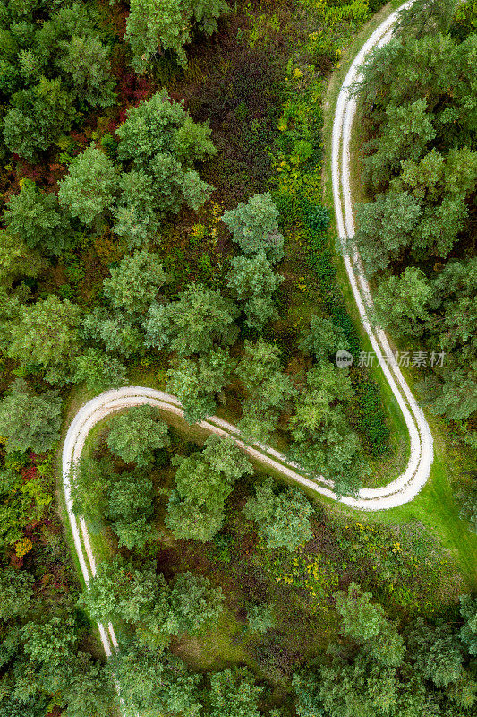 无人机:一个空中土路旅行-森林与弯曲的道路