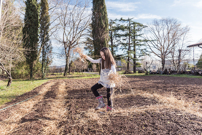 小女孩用秸秆覆盖种植的菜园