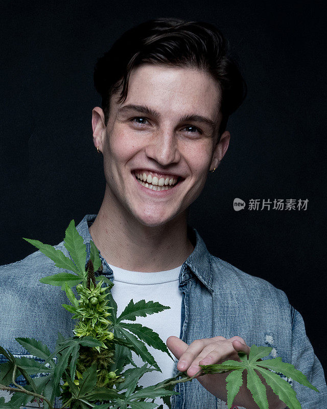 男子与大麻植物的近距离观察