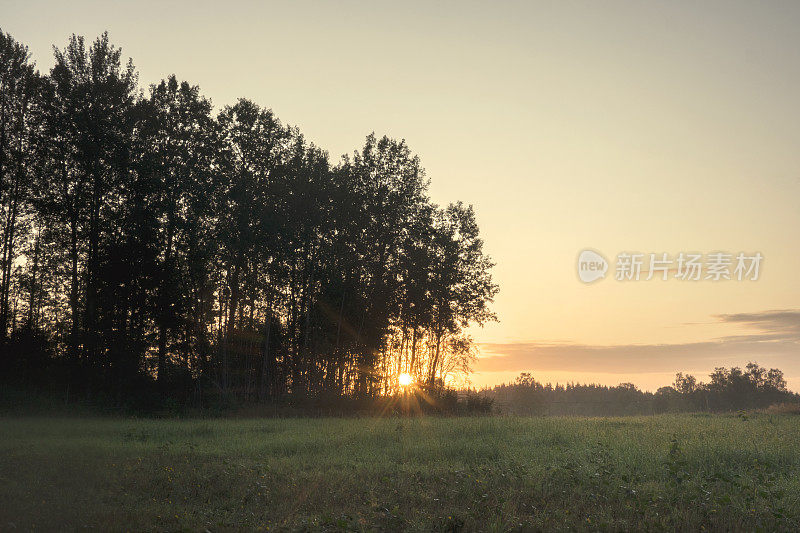 太阳从地平线升起的瑞典夏日美景