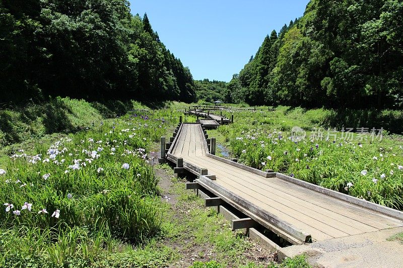 昭和森花坊花园