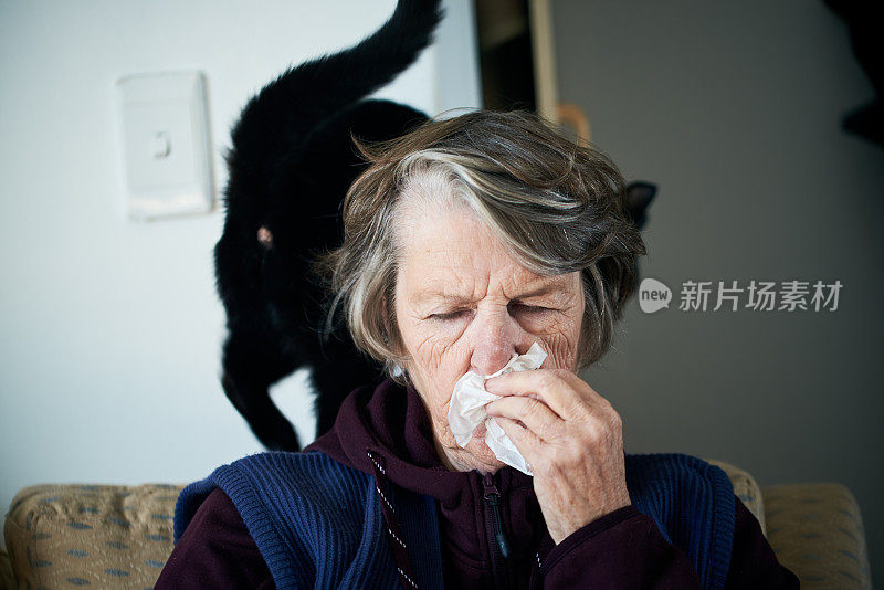 年长的女士，肩上放着一只宠物猫，擤了擤鼻子