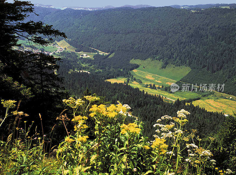 汝拉是法国东部Bourgogne-Franche-Comté的一个部门，以汝拉山脉命名