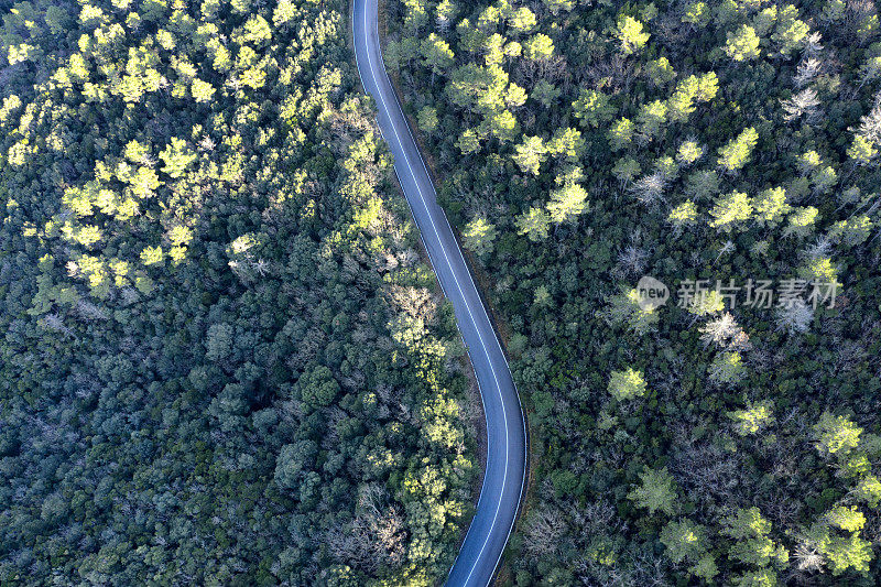 鸟瞰图的乡村道路，托斯卡纳，意大利