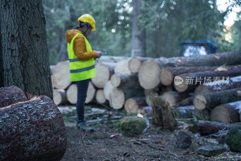 木材行业。女工程师测量和计算原木体积。安排交通事宜。(四)采取林地更新造林措施。