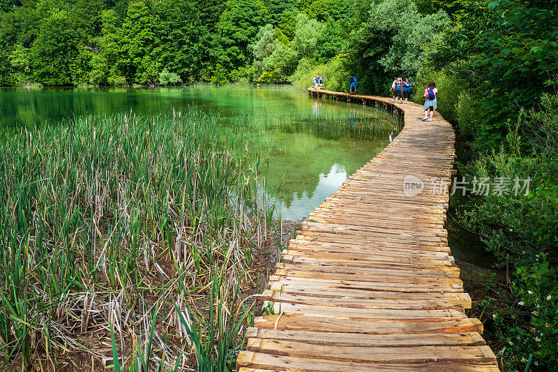 徒步旅行者经过一个美丽的风景与绿松石色的湖泊隐藏在克罗地亚的Plitvice湖国家公园的荒野