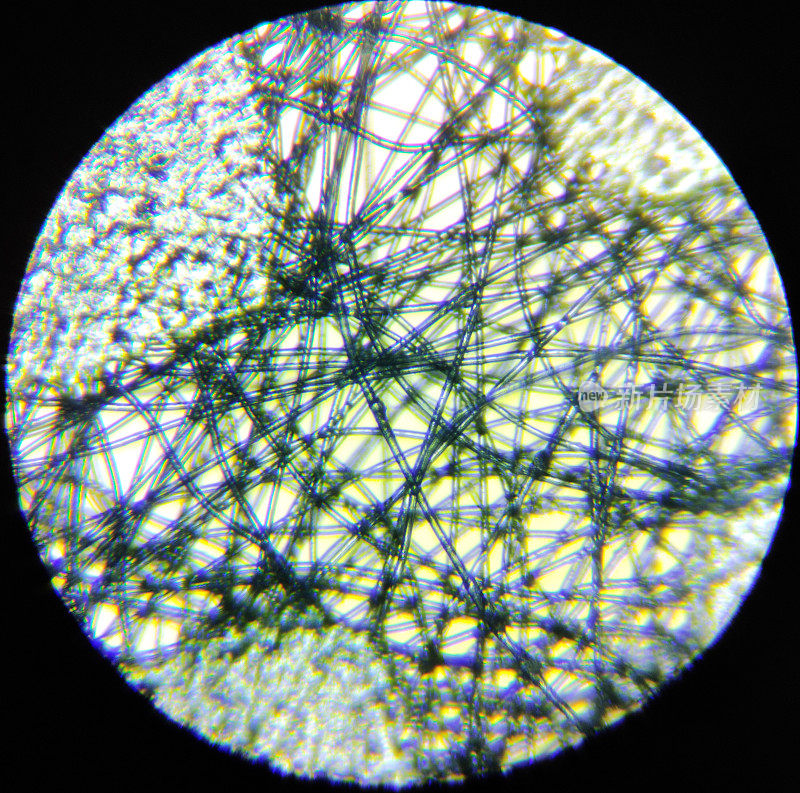 在显微镜下观察无纺布