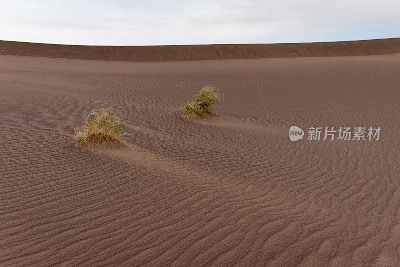 在伊朗沙漠